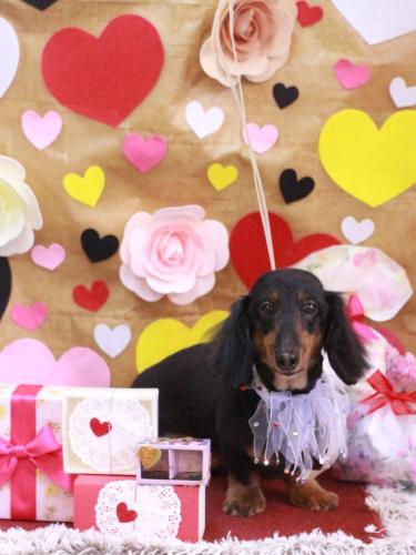 20230205オレンジくん